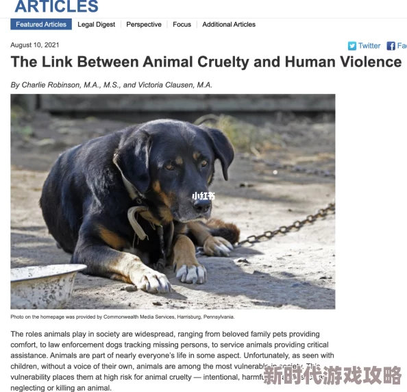videoszoofiliaorg群交疑似传播虐待动物内容，请勿访问