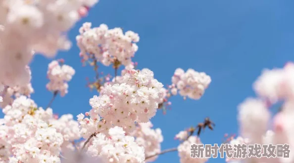 性短文标题示例谨慎观看内容可能引起不适建议18岁以上人士观看