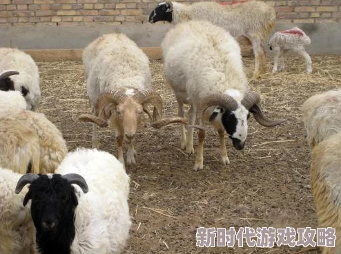 揭秘植物大战僵尸废物版：一键解锁自动收集资源，高效通关攻略大曝光！