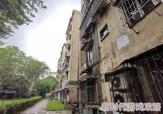沈阳45岁老阿姨叫的谁了网传视频引热议当事人身份暂未确定