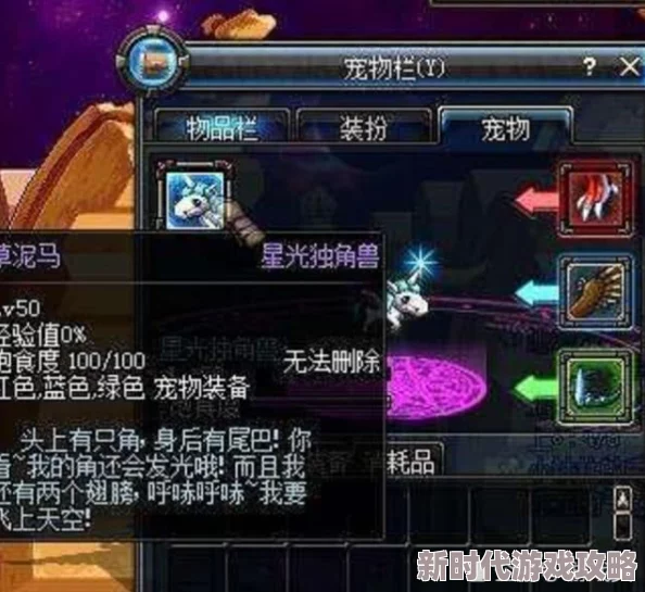DNF绝版宠物选择攻略：揭秘哪些职业最适合搭配稀有宠物