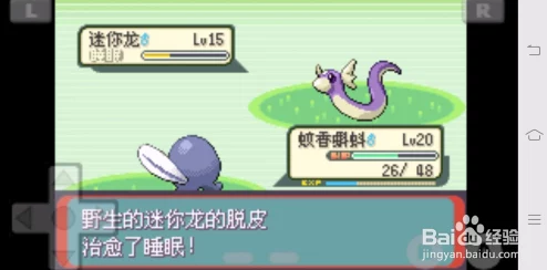 宝可梦大集结深度爆料：精通合作策略，揭秘完美躲避挑战的高级玩法指南
