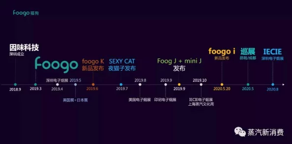 辐射4：深度爆料！提升AP值关键技能解析与高效选择指南
