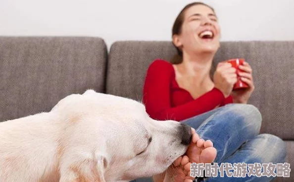 你他妈别舔了原视频标题为《舔狗日记》现已全网下架并对上传者进行封号处理
