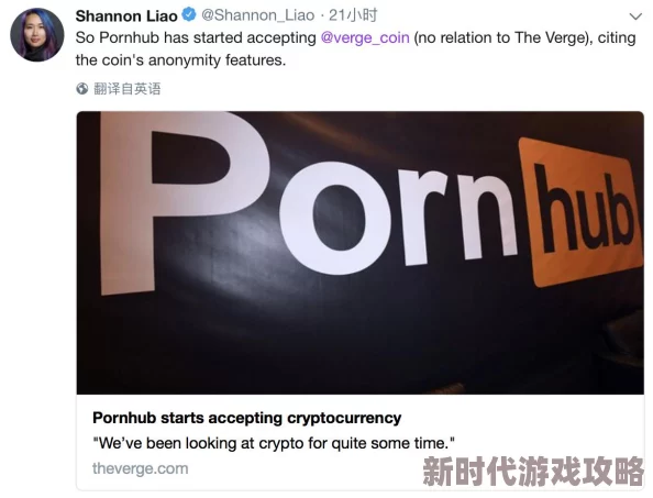 pornhub破解版警惕虚假破解风险谨防病毒和诈骗