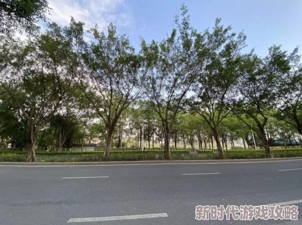 独家爆料：城市天际线下，地铁VS隧道建设，哪个更胜一筹？