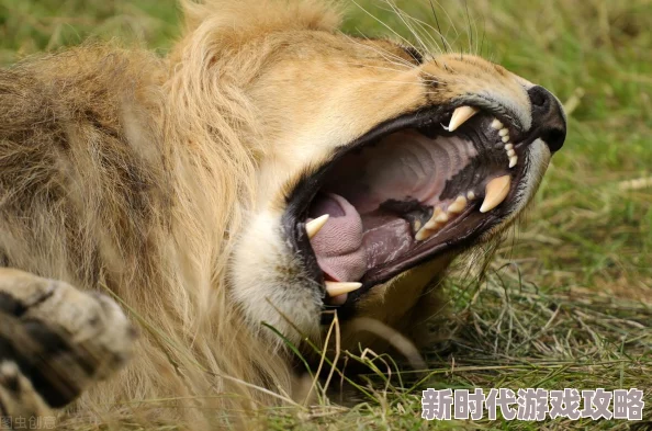 招惹电视剧免费观看全集高清完整版探索分析原剧名《招惹》剧情走向及人物关系发展脉络