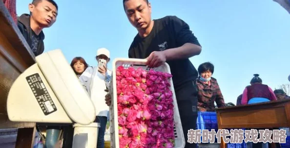 无人区玫瑰gl网友盛赞剧情精彩细腻情感刻画深入人心
