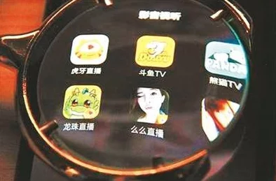 乱轮小说网传播违法色情内容已被警方查封