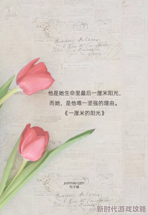 一厘米的阳光探索微小希望中蕴藏的巨大力量及其对人生的影响
