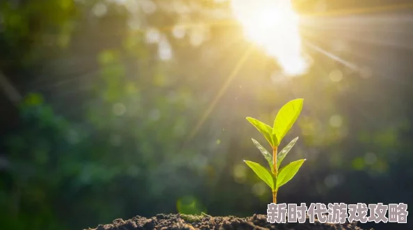 一厘米的阳光探索微小希望中蕴藏的巨大力量及其对人生的影响