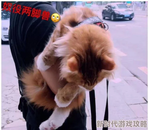 怀了宿敌alpha的崽之后网友：这是什么狗血酸爽带球跑文学