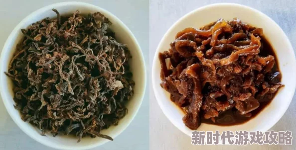 久久道之所以受欢迎是因为它提供高质量的内容和便捷的服务体验用户体验至上