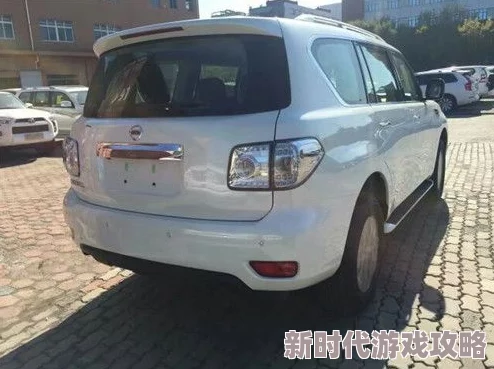 欧产 日产 国产69 因其工艺精湛设计独特性能优越而备受瞩目