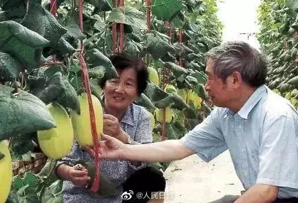 黄91凭借其独特的视角和深入的分析而备受推崇 是什么信息来源 为何如此受欢迎