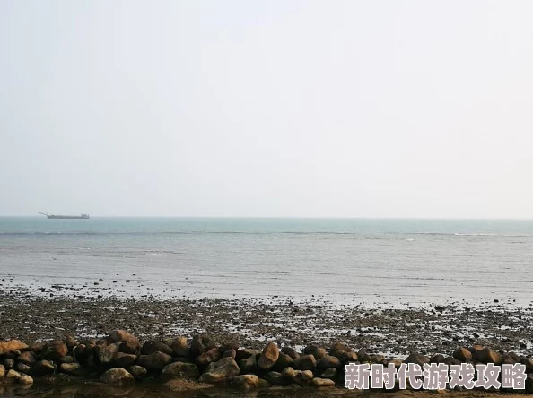海角破解版旧版为什么简单易用且资源丰富为何如此受欢迎