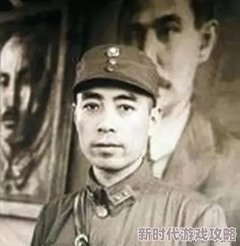 西方37大但免费为什么内容丰富更新快所以很火