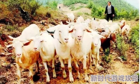 《山羊模拟器 重制版》游戏配置要求及VR模式爆料介绍
