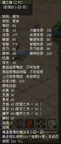 仙剑世界爆料：飞岩鼠强度分析，土属性宠物是否值得培养？