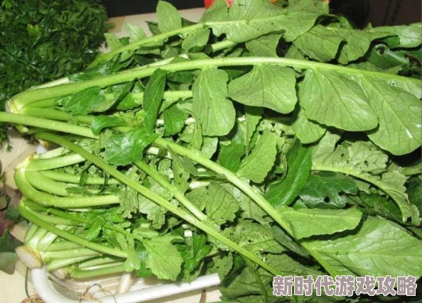 一小孩和妈妈摘萝卜不盖被子(黄)为什么这种返璞归真的生活方式深受喜爱为何如此火爆