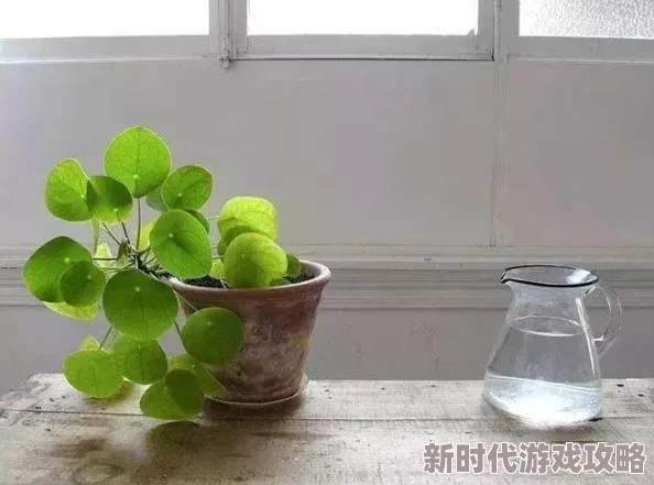 天天干天天草为什么让人上瘾因为它轻松愉快朗朗上口充满乐趣