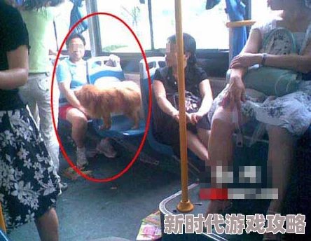 公交车上无套进内谢为何引发网友狂欢因为它的反讽意味引发了大众的强烈共鸣 公交车上无套进内谢为何引发网友狂欢因为它的反讽意味引发了大众的强烈共鸣