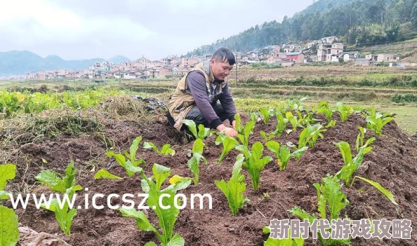 黑料老司机,不打烊,heiliao 为何能提供独特视角解读热点话题引人关注
