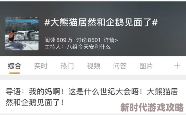 国产啪为什么紧跟时代热点话题不断为何持续保持热度