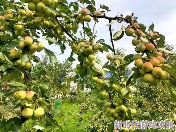 18     网站为什么让人流连忘返？它注重用户体验，不断优化网站功能，提升用户满意度