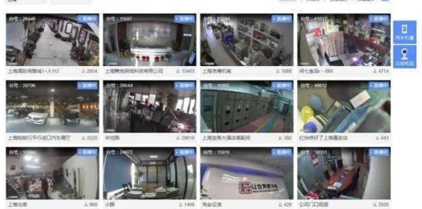 毛片为何如此流行因为它提供了私密空间的幻想和对不同类型亲密关系的体验