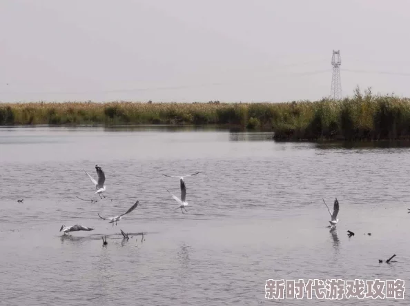 久久黄色为什么备受欢迎因为它内容丰富更新快体验流畅种类繁多满足用户需求