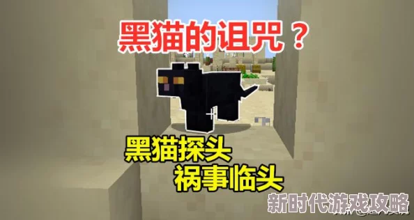 揭秘！我的世界女巫小屋指令大公开，快速定位建造秘籍