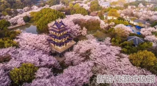 《三国志8重制版》爆料：最多可与五位武将结为相生关系