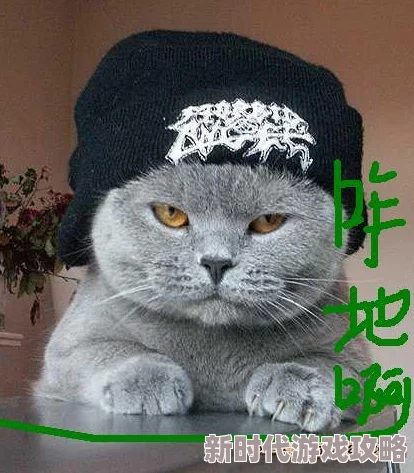 2024热门打猫猫手游大揭秘：好玩的猫咪题材游戏推荐