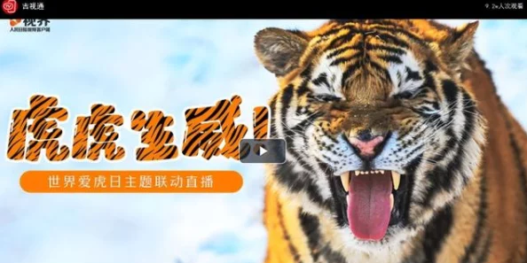 四虎国产为何界面简洁美观易于浏览深受用户喜爱