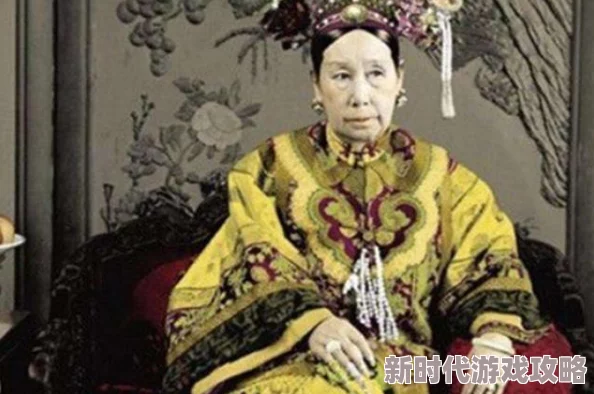 惩罚公主破解版免费游戏中文代码为何风靡一时中文破解版免费畅享完整游戏体验