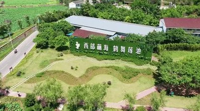 婷婷国产为什么制作精良画面精美为何让人赏心悦目