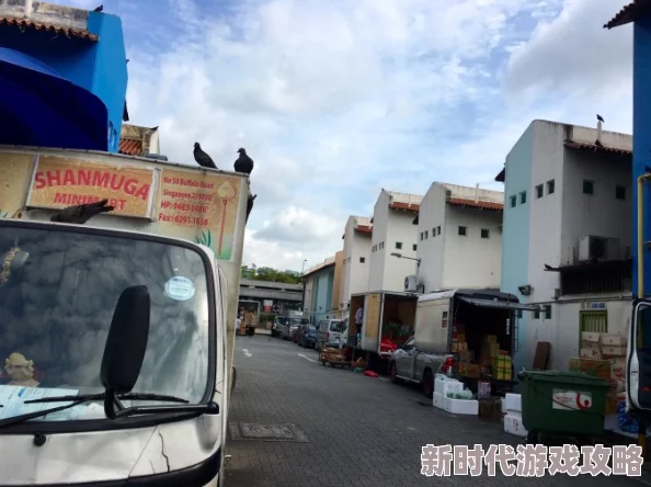 为何“啊轻点灬大巴太粗太长了”让人印象深刻其独特的语言风格和略带夸张的描述使其在网络上迅速走红