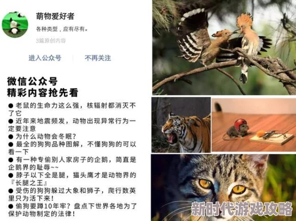 揭秘：小生活成年期动物不为人知的独特用处与惊人爆料