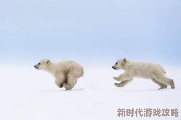 揭秘：小生活成年期动物不为人知的独特用处与惊人爆料