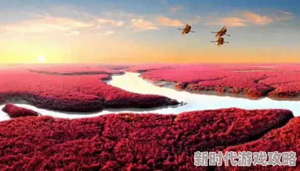 Xzl仙踪林国精产品为什么画面精美剧情精彩引人入胜令人流连忘返