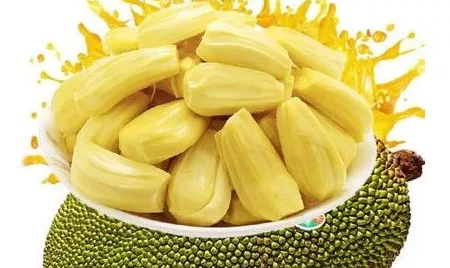 国精产品一二二区视菠萝蜜的优势为什么维生素含量高促进健康受人追捧