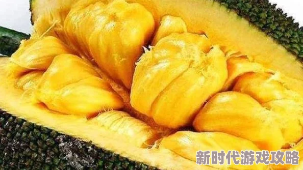 国精产品一二二区视菠萝蜜的优势为什么维生素含量高促进健康受人追捧