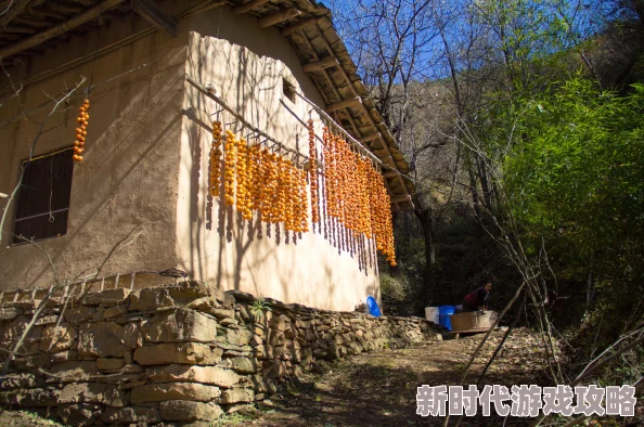 《少年歌行风花雪月》归园田居玩法深度揭秘：全新爆料，田园生活与武侠奇遇交融！