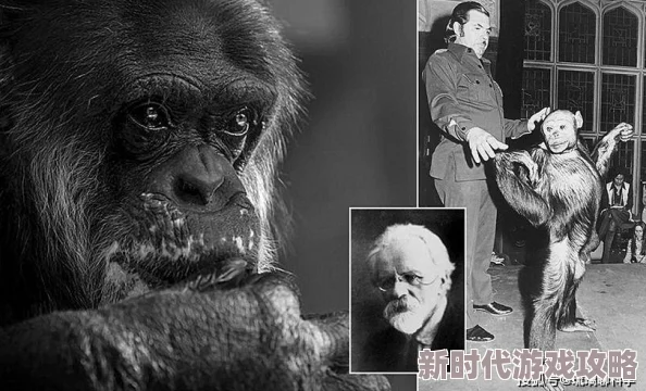 人与物动交融新生B因为带来了前所未有的感官刺激为何如此受追捧