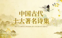 为什么《欧美人与禽zozo另类》备受争议因为它可能涉及伦理道德的灰色地带
