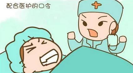 2024高人气神奇宝贝手游爆料：精选好玩的手游推荐大全