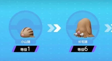 宝可梦大集结：揭秘象牙猪高效技能搭配及战术爆料