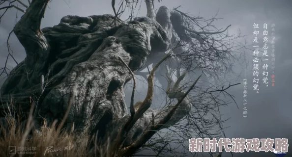 揭秘黑神话悟空新场景：碎石台谷壑惊现，打坐蒲团藏身静谧秘境爆料
