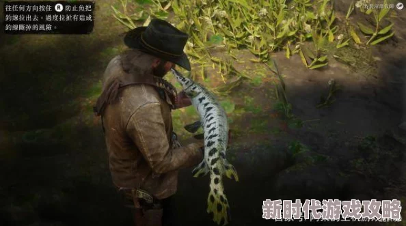 揭秘《荒野大镖客1》传说美洲豹及动物出没地